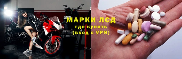 ГАЛЛЮЦИНОГЕННЫЕ ГРИБЫ Армянск