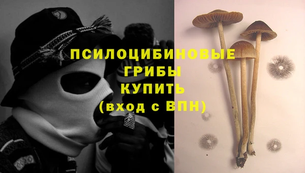 ГАЛЛЮЦИНОГЕННЫЕ ГРИБЫ Армянск